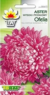 Nasiona i cebule - Toraf KWIATY Aster peoniowy Ofelia nasiona 1g 00336 - miniaturka - grafika 1