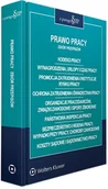 Prawo - Prawo pracy. Zbiór przepisów. Kodeks pracy. Wynagrodzenia, urlopy i czas pracy. Promocja zatrudnienia i instytucje rynku pracy. Ochrona zatrudnienia... - miniaturka - grafika 1