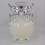 Wyposażenie pokoiku dziecięcego - SKARBONKA dziecięca z masy perłowej beżowa sowa - miniaturka - grafika 1