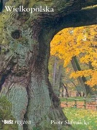 Piotr Skórnicki Wielkopolska miniatura WIKR-0940607 - Książki o kulturze i sztuce - miniaturka - grafika 2