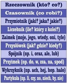 Pomoce naukowe - Części mowy niebieskie ES011 - miniaturka - grafika 1