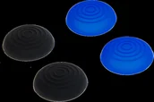 Akcesoria do Playstation - snakebyte CONTROL:CAPS nakładki na analogi P4 (2x czarny 2x niebieski) SB909542 - miniaturka - grafika 1