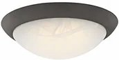 Lampy sufitowe - Westinghouse Lighting 63089 lampa sufitowa LED z możliwością ściemniania, 28 cm, do wnętrz, wykonanie z olejowanego brązu z białym szkłem alabastrowym - miniaturka - grafika 1
