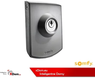 Somfy Wyłącznik kluczykowy do napędu 2 SZTUKI - Akcesoria do bram - miniaturka - grafika 3