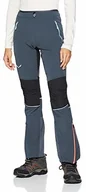 Spodnie narciarskie - Salewa sesvenna 2 spodnie damskie DST, 42 00-0000027198 - miniaturka - grafika 1