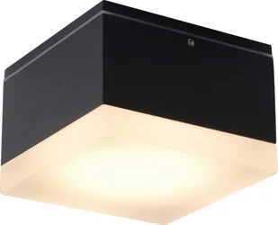 AZZARDO APULIA AZ4336 downlight natynkowy 1x10W/LED IP54 AZ4336 - Lampy ogrodowe - miniaturka - grafika 2