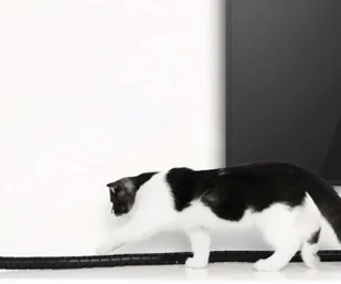 uGreen Organizator kabli w tubie UGREEN LP121 1,5m czarny) 11229 - Maskownice do kabli - miniaturka - grafika 3