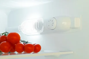 Lodówka AMICA FK2515.4UTX - Lodówki Lodówka AMICA FK2515.4UTX - Lodówki - miniaturka - grafika 11