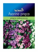 Nasiona i cebule - Top Decor Nasiona asarina pnąca mieszanka - miniaturka - grafika 1