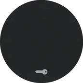 Wyłączniki światła i elektryczne - Berker R.1/R.3 klawisz Klucz czarny 16202015 - miniaturka - grafika 1