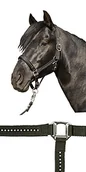 Akcesoria jeździeckie - HKM uzda Crystal Fashion miękka, równie, czarny (546939) - miniaturka - grafika 1
