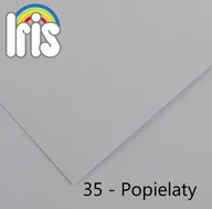 Papier do drukarek - Canson Karton kolorowy 200040177) - miniaturka - grafika 1