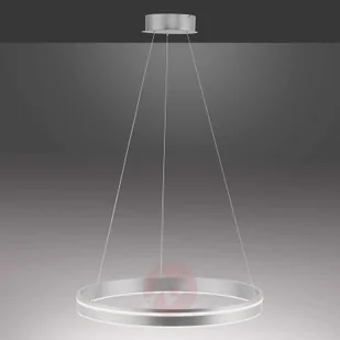 Paul Neuhaus Inteligentna lampa wisząca stal 59 cm z pilotem - Ronith - Systemy inteligentnych domów - miniaturka - grafika 4