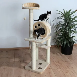 Trixie Drapak z pluszem TX-43731 - Drapaki dla kotów - miniaturka - grafika 2