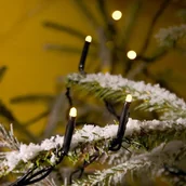 Pozostałe oświetlenie - KonstSmide Lampki choinkowe LED 80 sztuk, , zewnętrzne, 24 V 3611-110 - miniaturka - grafika 1