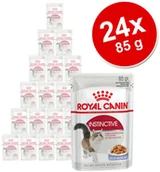 Mokra karma dla kotów - Royal Canin Indoor Sterilised 7+ w galarecie - 24 x 85 g - miniaturka - grafika 1