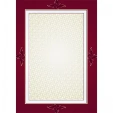 Galeria Papieru Nieprzypisany Dyplom Majestic 170g ARGO0821 - Dyplomy i okładki - miniaturka - grafika 3