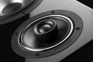 Cabasse ANTIGUA MC170 Czarny Heban - Głośniki i kolumny - miniaturka - grafika 4