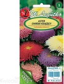 Nasiona i cebule - Legutko sp. z o.o Nasiona Aster chiński książęcy mieszanka, 1,25g - miniaturka - grafika 1