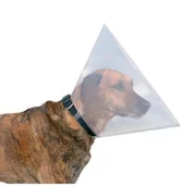 Specjalistyczne artykuły dla zwierząt - Trixie Trixie Kołnierz ochronny 20 cm - miniaturka - grafika 1