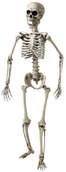 Gadżety na imprezę - Widmann Dekoracja "Szkielet" 160 cm WI7800T - miniaturka - grafika 1