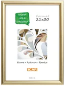 Ramki na zdjęcia - Icar Ramka na zdjęcia DRI HIT 21 x 30 cm złota drewniana - miniaturka - grafika 1