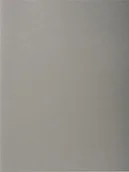 Koszulki na dokumenty - Exacompta 210009e okładka wykonana z Manili kartonu 220 G/M 100 sztuka Szary 210009E - miniaturka - grafika 1