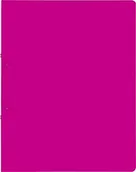 Segregatory - Brunnen 106550533 segregatorów Fact.folii PP (A4, transluzente PP-, 25 MM wysokość wypełnienia, różowy 16 mm 106551626 - miniaturka - grafika 1