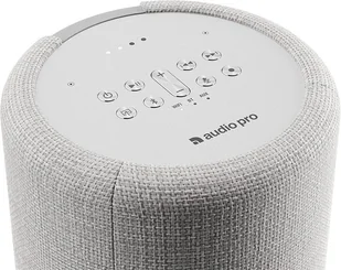 Audio Pro G10 - Głośniki i kolumny - miniaturka - grafika 4