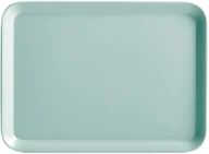 Tace i patery - ZELLER Wielofunkcyjna taca materiał melamina wytrzymały materiał zaokrąglone boki miętowy kolor Zeller B07DN9X4Y1 - miniaturka - grafika 1