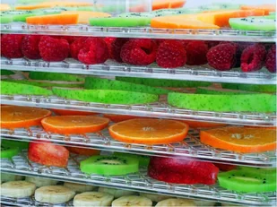 Concept SO2040 - Suszarki do grzybów, owoców i warzyw - miniaturka - grafika 7