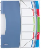 Teczki i skoroszyty - Esselte Teczka SEGREGUJACA VIIVDA 6 PRZEKŁADEK 624029 - miniaturka - grafika 1