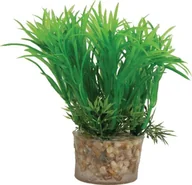 Dekoracje do akwarium - Zolux Roślina mała z zestawu nr 1 - miniaturka - grafika 1