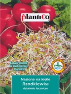Nasiona i cebule - Plantico Nasiona na Kiełki rzodkiewki - miniaturka - grafika 1
