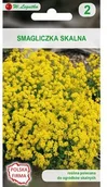 Nasiona i cebule - Legutko Smagliczka skalna ŻOLTA - miniaturka - grafika 1
