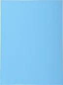 Segregatory - Exacompta 420010e Box 100 pod adresem folderów, niebieski 420010E - miniaturka - grafika 1