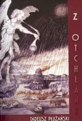Historia świata - Wydawnictwo 2 Kolory Z otchłani - Tadeusz Płużański - miniaturka - grafika 1