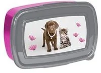 Paso Śniadaniówka Rachael Hale LETNIA WYPRZEDAŻ DO 80% - Lunch boxy Paso Śniadaniówka Rachael Hale LETNIA WYPRZEDAŻ DO 80% - Lunch boxy - miniaturka - grafika 1