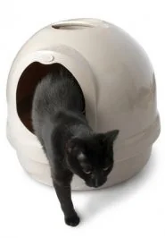 Certech Akyszek Odstraszacz Dla Psów Spray 400Ml - Artykuły szkoleniowe - miniaturka - grafika 6