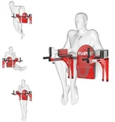 Poręcze i drążki do podciągania - K-SPORT Regulowane poręcze treningowe do ćwiczeń mięśni brzucha DIP KSSL015 - miniaturka - grafika 1