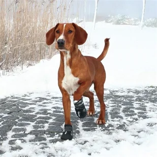 Trixie Buty Ochronne Walker Active M 2 Szt. - Ubranka dla psów - miniaturka - grafika 2