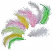 Dekoracje domu - Piórka dekoracyjne WN0194) - miniaturka - grafika 1