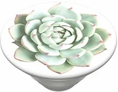 Uchwyty samochodowe do telefonów - PopSockets PopSockets PopTop - Wymienny krążek do uchwytów PopGrip - You Succulent 801304 - miniaturka - grafika 1