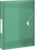 Ofertówki - Esselte Teczka z gumką Colour'Ice PP poszerzana - zielona 626265 - miniaturka - grafika 1