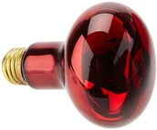 Dekoracje do terrarium - Exo Terra EXO Terra Infrared basking Spot podczerwieni Spot Lamp 100 W PT2144A1 - miniaturka - grafika 1