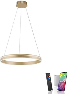 Paul Neuhaus Inteligentna lampa wisząca mosiądz 59 cm z pilotem - Ronith - Systemy inteligentnych domów - miniaturka - grafika 5