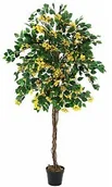 Sztuczne drzewka - Europalms Europalms Bougainvillea, yellow, 180cm, Sztuczne drzewo 82507081 - miniaturka - grafika 1