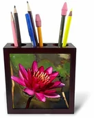 Pojemniki biurowe - 3dRose 3dRose ph_228264_1 12,7 cm"magenta Water Lily" uchwyt na długopisy do płytek ph_228264_1 - miniaturka - grafika 1