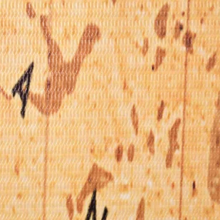 vidaXL Składany parawan, 200x180 cm, mapa świata, żółty - Parawany - miniaturka - grafika 2