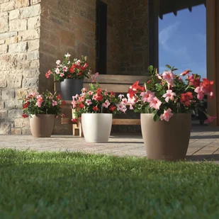 Lechuza Donica Classico Color 35 ALL-IN-ONE, muszkatołowa, 13223 - Donice - miniaturka - grafika 6